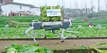 「机器狗」正式下乡，帮农民收「榨菜」