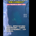 总领馆：贝加尔湖事故幸存者身体状况良好！当地提前回暖，温度破百年纪录；目击者：幸存男子坐在后排，在车辆入水瞬间冲出