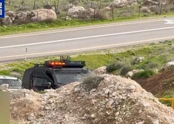 埃及、约旦、阿联酋、印度尼西亚、巴基斯坦、土耳其、沙特和卡塔尔发表联合声明