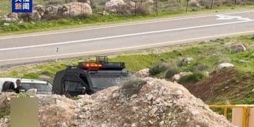 埃及、约旦、阿联酋、印度尼西亚、巴基斯坦、土耳其、沙特和卡塔尔发表联合声明