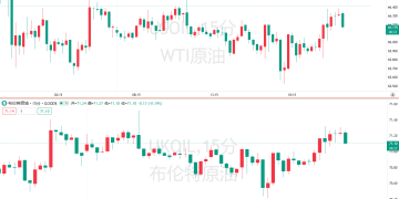 无惧「过剩」警告？欧佩克+本周或按下「增产键」