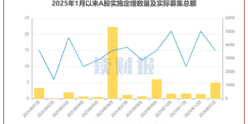 【读财报】1月上市公司定增动态：实际募资总额1194亿元 宏桥控股、电投产融募资额居前