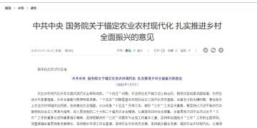 中央一号文件发布！首提「常态化精准帮扶」，人工智能、机器人、乡村消费都提了