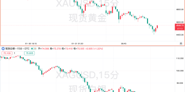 贵金属转为失速暴跌：金银高位去杠杆，全球市场迎来压力测试