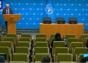 约旦、沙特、卡塔尔、阿联酋、印尼、巴基斯坦、土耳其、埃及联合声明