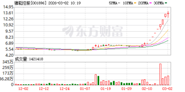 七连板豫能控股：若股价进一步上涨 或申请停牌核查