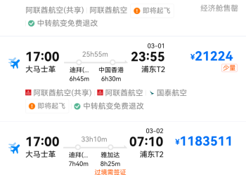 大马士革飞往上海机票涨至382万元？知情人士：可能是供应商误操作