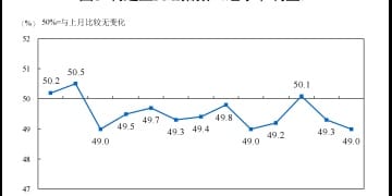 统计局：中国2月官方制造业PMI为49% 比上月下降0.3个百分点